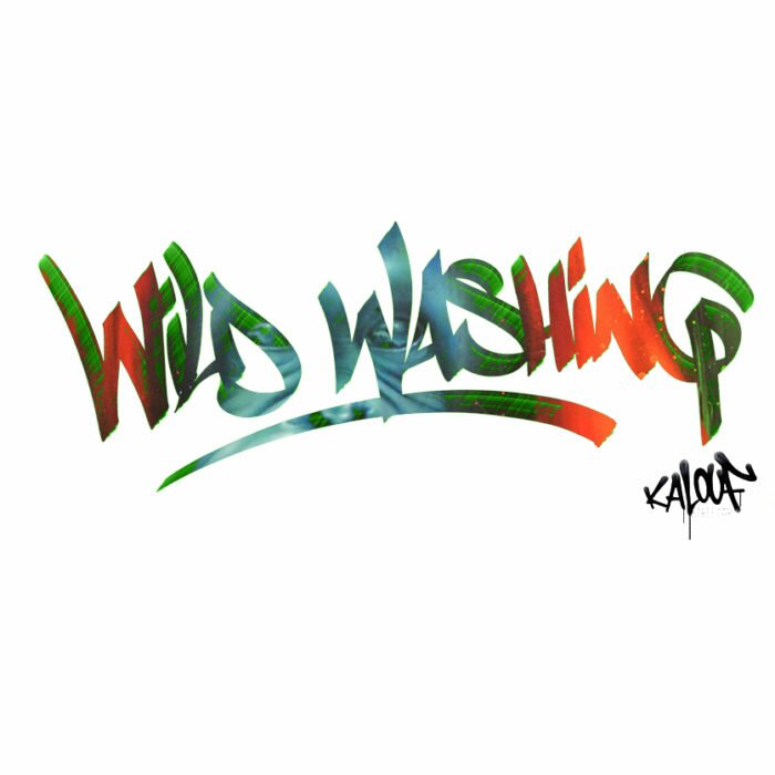 Wild Washing de Kalouf : Exposition Soloshow du 6 septembre – 13 octobre